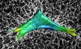 Emerging Technologies in Mechanobiology