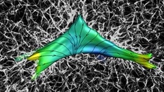 Emerging Technologies in Mechanobiology