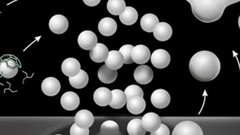 Biophysics of Clathrin Coat Assembly,...