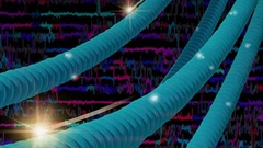 Frontiers in Nanoscale Approaches to Biology