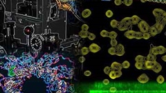 Emerging Concepts in Macromolecular Assemblies...