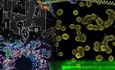 Emerging Concepts in Macromolecular Assemblies and Machines- Wednesday