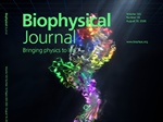 From Trajectories to Communities: Graphing Molecular Dynamics with DynMoCo