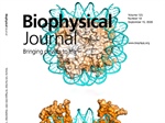 Similar Structure, Different Dynamics: The Melbournevirus Nucleosome-Like Particle