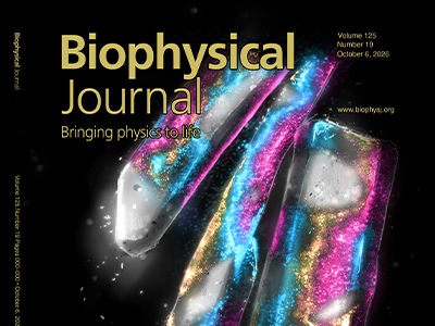 Seeing Protein Crystals in a New Light
