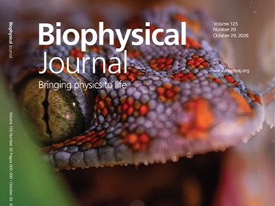 Rocking without a Tune: A 3D Picture of How Reptiles Hear