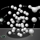 Membrane Fusion, Fission & Traffic