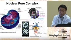 Biophysics 101 - Weidong Yang