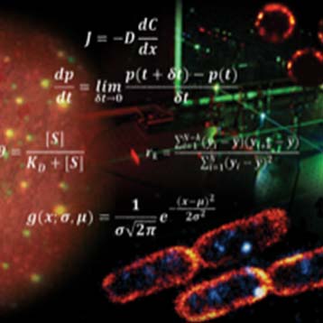 Physical Cell Biology