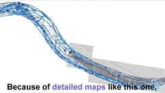 C elegans: an Elegant Way to Study the Brain