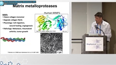 Biophysics 101: Mechanobiology