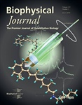 Photocycle for Signal Transduction in a Photoreceptor Protein