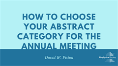 How to Choose Your Abstract Category for the...