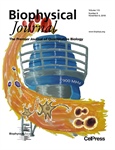 The Expanding Zoo of In-Cell Protein NMR