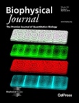 Patterning Membranes by Protein Self-Organization