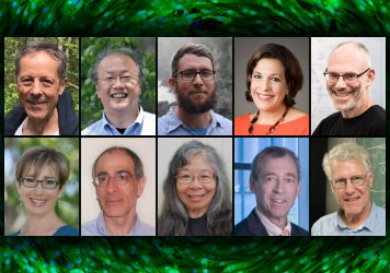 Ten Outstanding Biophysicists Receive BPS Honors