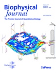 Unfolding Membranes Protein Using Force and Novel Simulation Methods