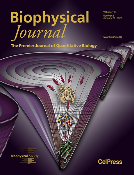 Protein Folding Funnel 