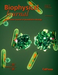 My Favorite Biophysical Journal Papers of 2019 – Part 1