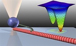 Motor Proteins and Insights from Optical Tweezers