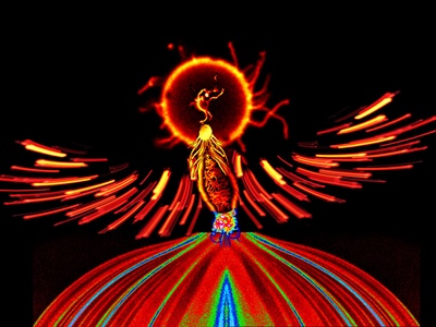 The Science Behind the Image Contest Winners: Phoenix Reborn