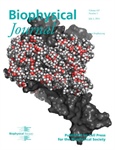 All-Atom Ensemble Modeling of Detergent Association to Membrane Proteins