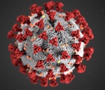 Coronavirus: A Virologist's Testimony