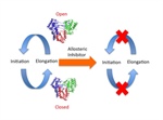 Using Biophysics to Understand the Basis of Allosteric Inhibition in the Hepatitis C Virus Polymerase