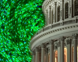 Lead Science Through Policy – BPS Congressional Fellowship Webinar