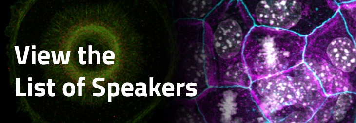 Speakers