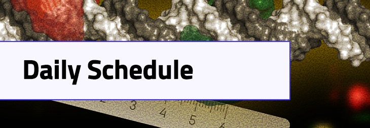 Daily Schedule