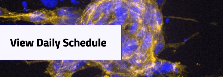Daily Schedule