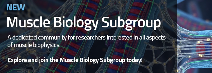 Subgroup
