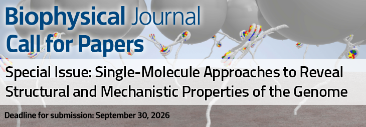 Special Issue