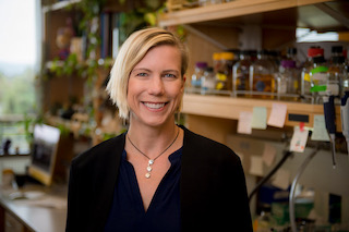 How to Be a Great Session Chair | Biophysical Society