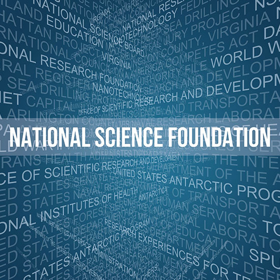 Inside Perspectives and Opportunities NSF Grants