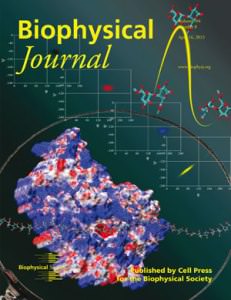 Issue: Biophysical Journal