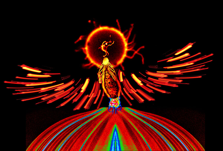 The Science Behind The Image Contest Winners Phoenix Reborn