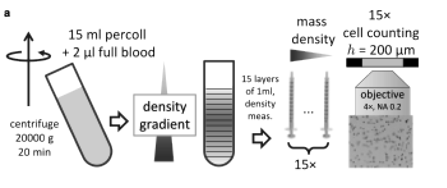Figure 1 Figure 1