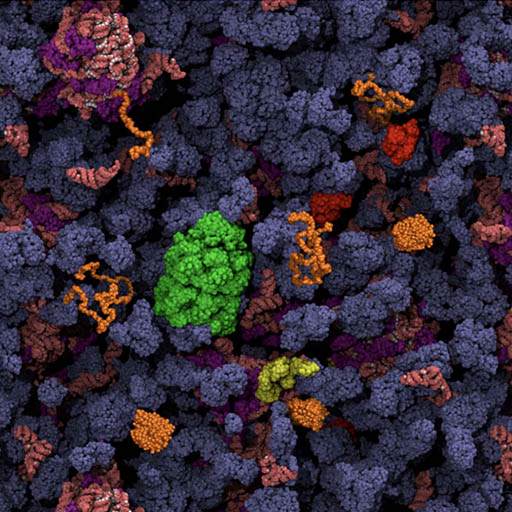 2024 Biopolymers in vivo Subgroup