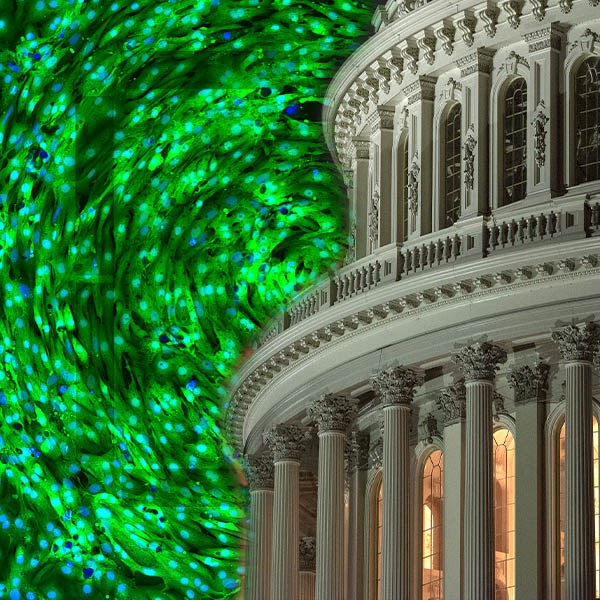 Lead Science Through Policy – BPS Congressional Fellowship - Webinar