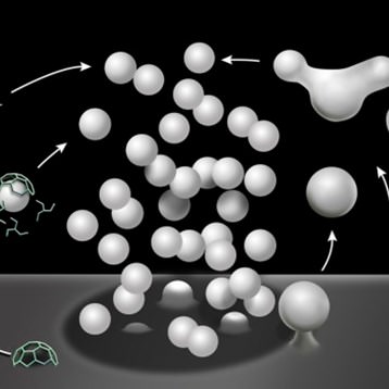 2023 Membrane Fusion, Fission & Traffic Subgroup
