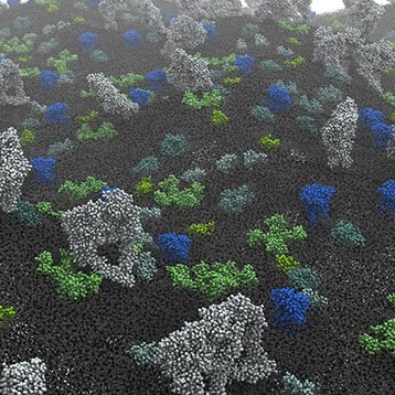 2024 Membrane Structure & Function Subgroup