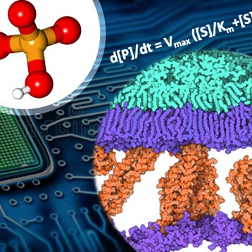 2024 Theory & Computation Subgroup