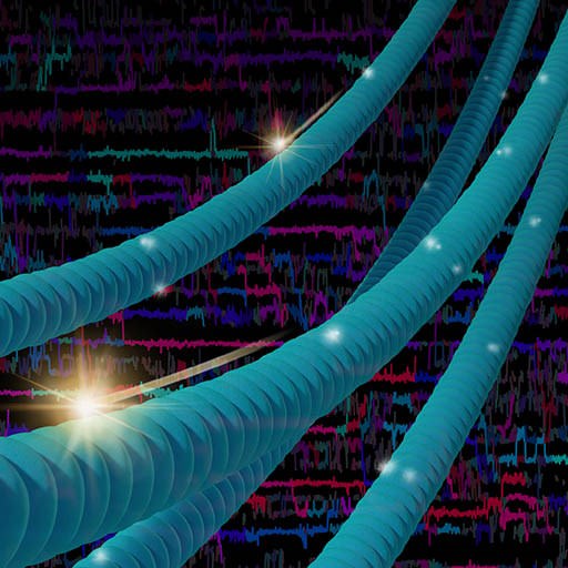 2023 Nanoscale Approaches to Biology Subgroup