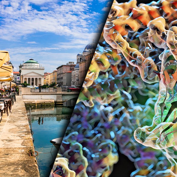 2024 Trieste Meeting Early Registration - Non-member