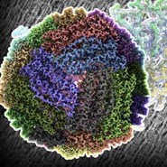 2023 Cryo-EM Subgroup