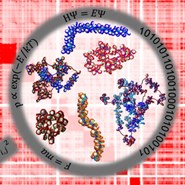 2023 Multiscale Genome Organization Subgroup