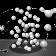 2023 Membrane Fusion, Fission & Traffic Subgroup