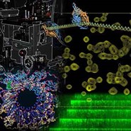 2023 Macromolecular Machines & Assemblies Subgroup